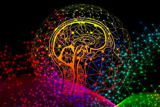 100 things increase neurogenesis feature image